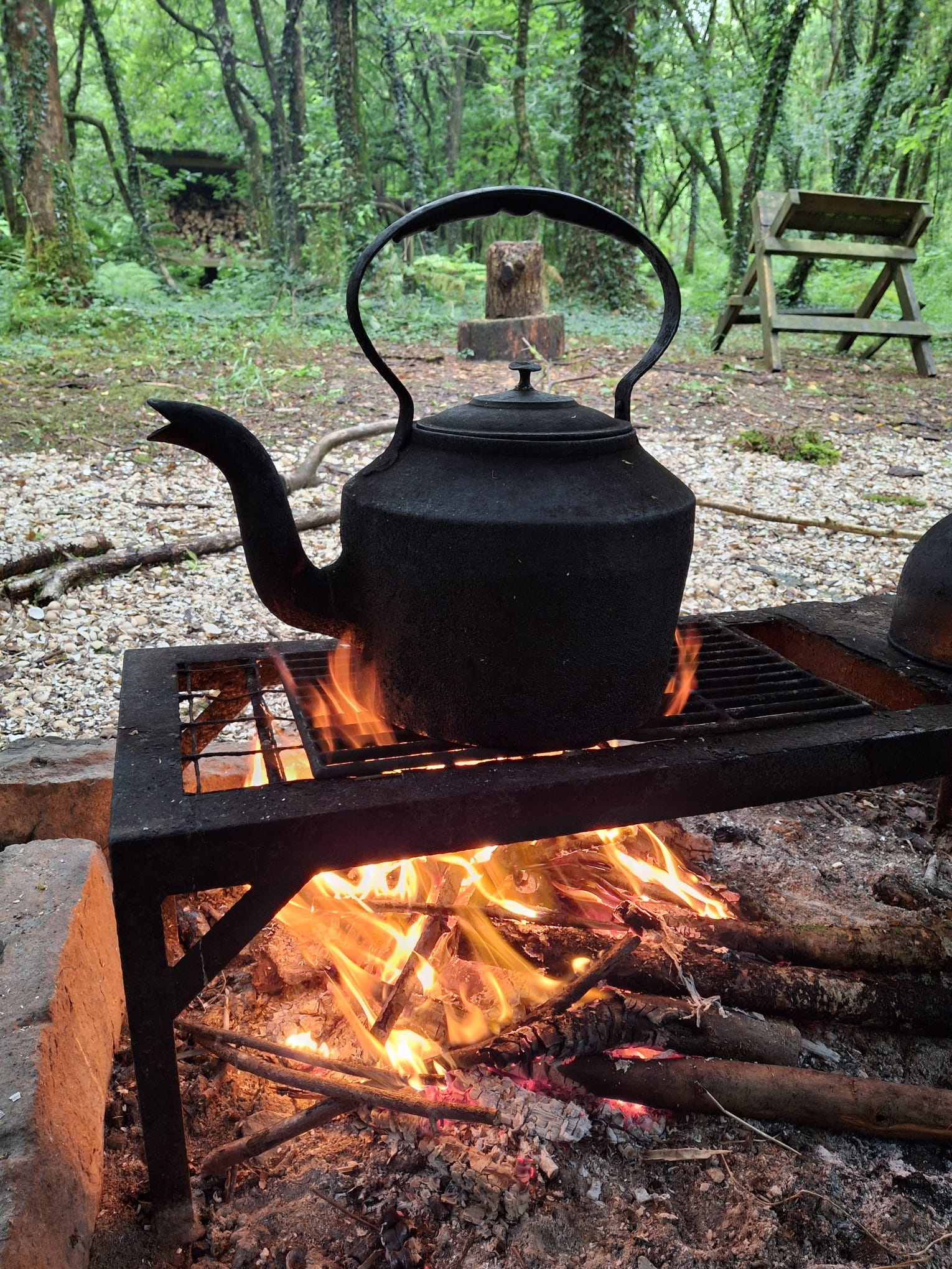 A kettle warming over a woodland campfire