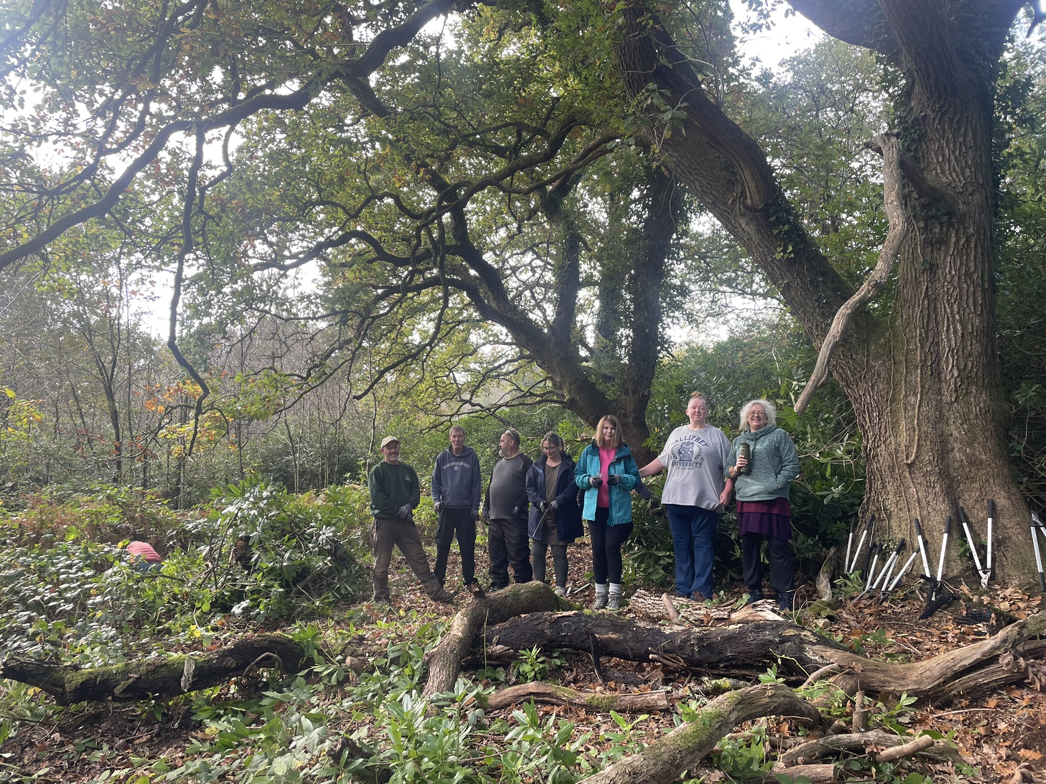 A group standing together beneath woodland trees