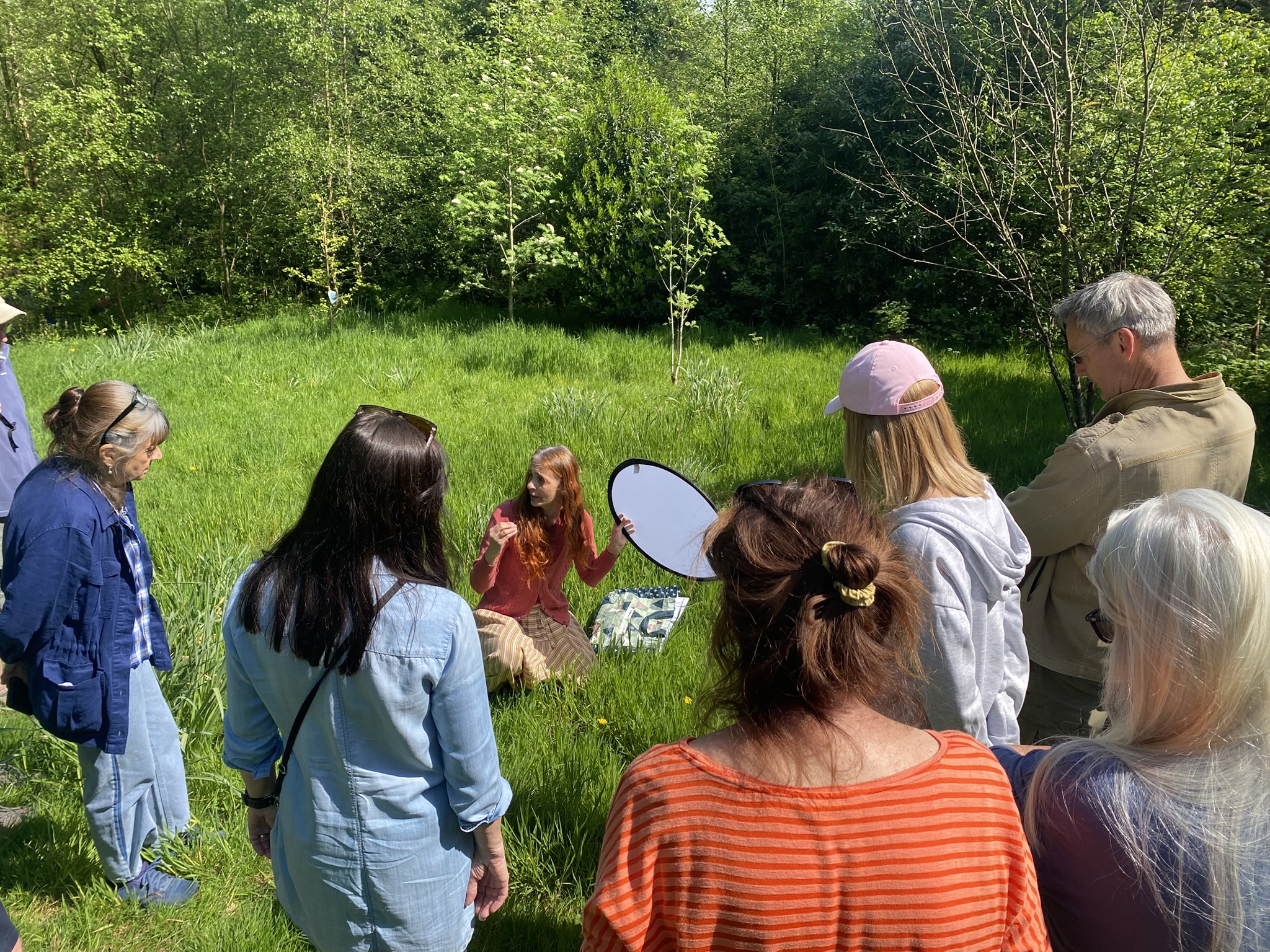 A group learning together in a sunny green space